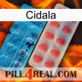 Cidala new14